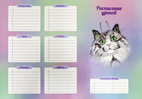 расписание уроков А3